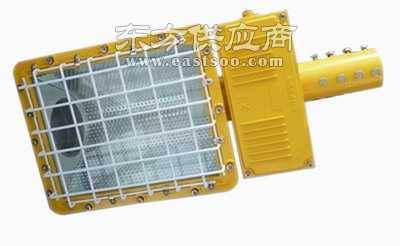 油田防爆路燈 電廠防爆路燈 化工廠防爆路燈圖片