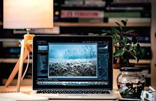 編程熱潮持續(xù) QS預測2020年計算機編程仍為前景最佳行業(yè)