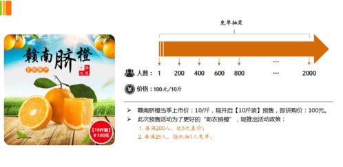 預(yù)售拼購模式在農(nóng)產(chǎn)品電商的實踐與價值 以贛南臍橙為例的軟件系統(tǒng)推演剖析